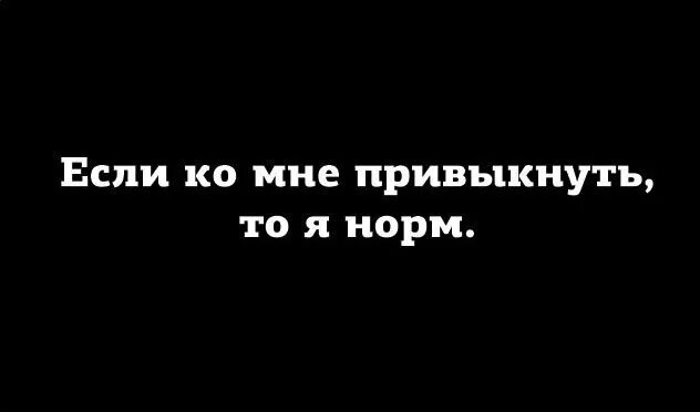 Ни стыда. Ни стыда ни совести ничего лишнего. Если ко мне привыкнуть. Не стыда не совести ничего лишнего картинки. Если ко мне привыкнуть то я норм.