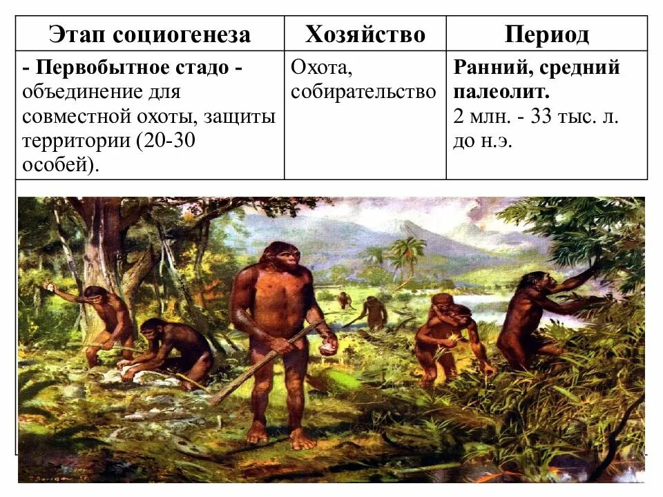 Стадия развития племени. Родовая община первобытности. Первобытное человеческое стадо. Эпоха собирательства и охоты. Этап охоты и собирательства.