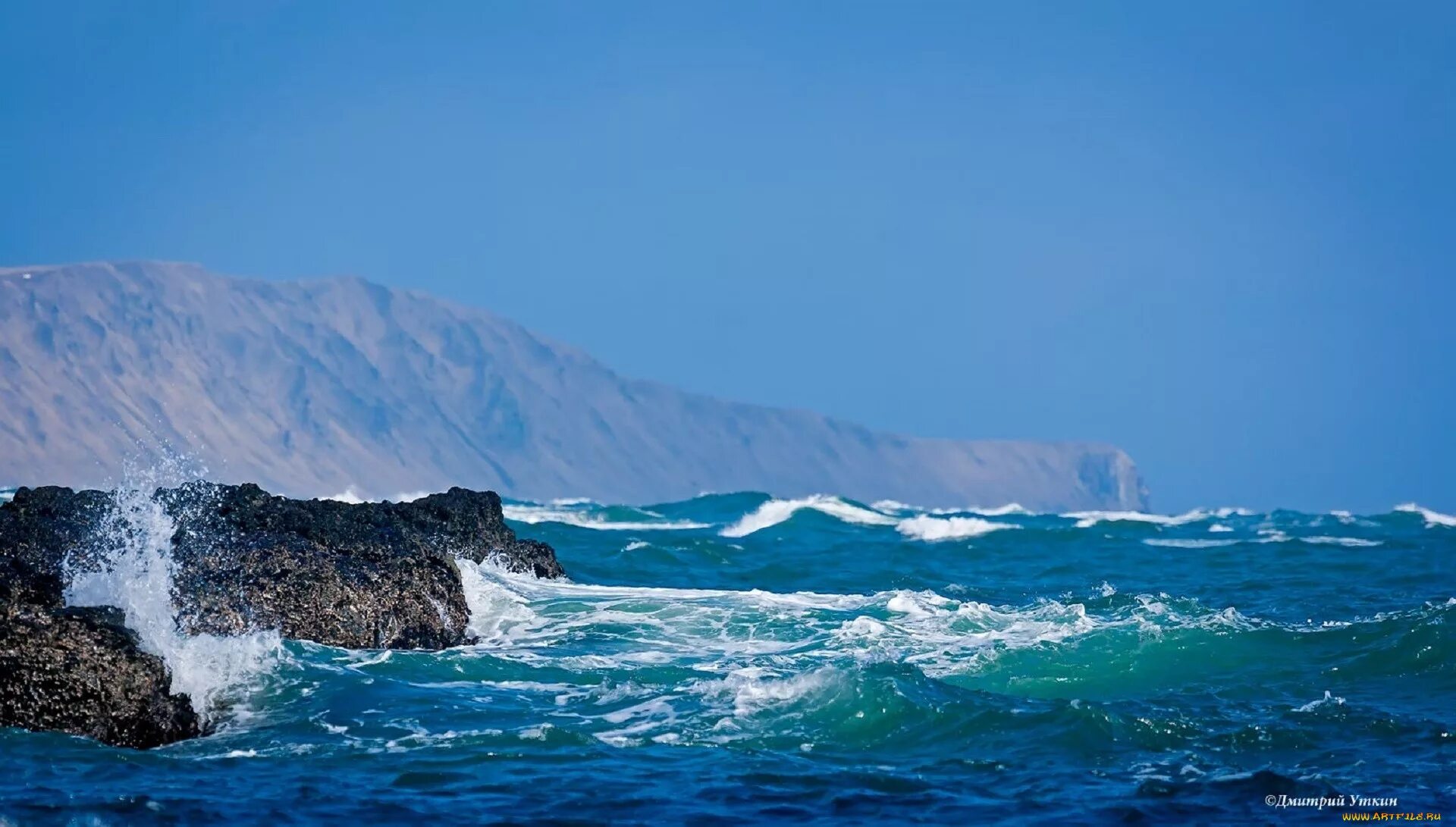 Особенности природного океана. Охотское море Камчатка. Командорские острова. Тихий океан Камчатка. Командорские острова Камчатка.