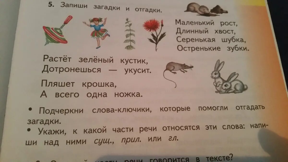 Алиса прочитай слово. Загадки. Загадки и отгадки. Загадки текст. Загадки отгадывать загадки.