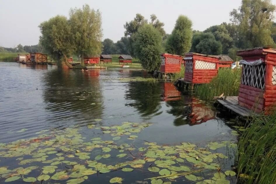 рыбалка черкасс. черноморец рыбалка саратов. озеро балхаш рыба. рыбалка черкасс. рыбалка черкасс.