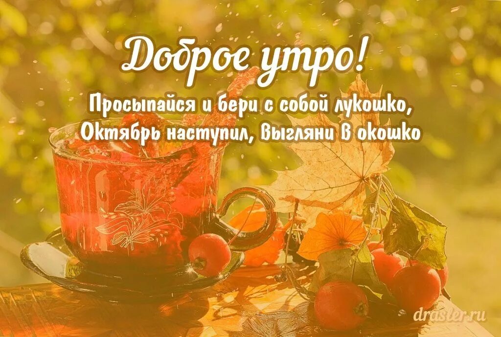 Красивого осеннего утра картинки с пожеланиями. Доброе утро октября. С добрым утром октября с пожеланиями. С добрым утром осенним октября. Открытки с добрым утром октября.