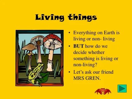 Everything thing