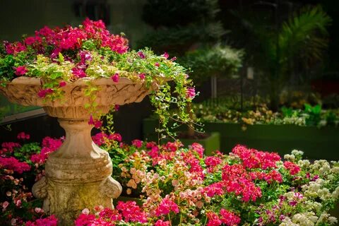 Download Flower Garden With Water Fountain Picture