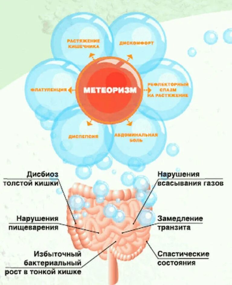 Почему постоянно вздутие. Метеоризм. Вздутие живота метеоризм. Образование газов в кишечнике. Газообразование в кишечнике.