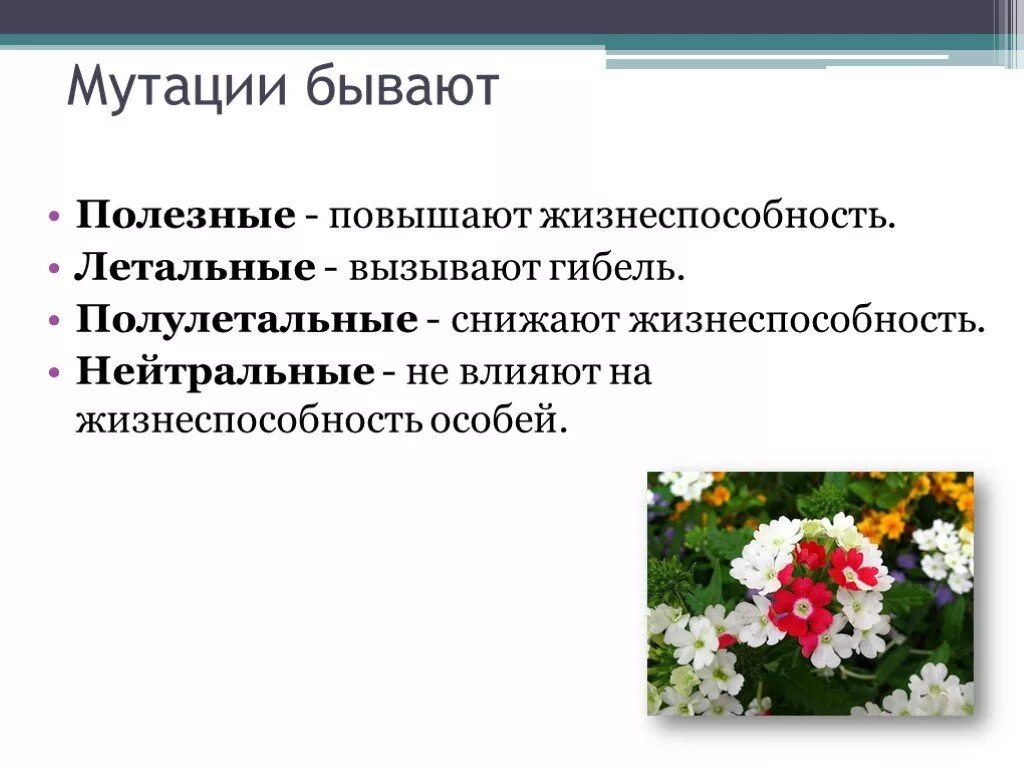 Мутации бывают. Мутации повышающие жизнеспособность. Полулетальные мутации. Мутации летальные полулетальные полезные. Какие мутации полезные