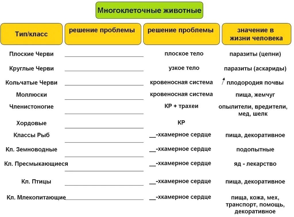 Характеристика типов классов животных. Системы органов многоклеточных животных 7 класс. Общая характеристика многоклеточных животных таблица.