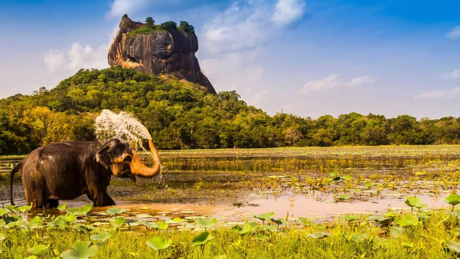 Шри ланка остров вулкан. Гора слон Шри Ланка. Гора Элефант Шри Ланка. Пидурангала Шри Ланка. Шри Ланке мегавулкан.
