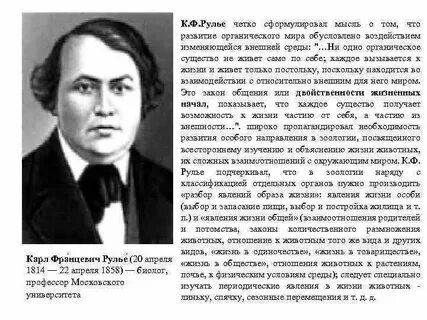 Себастьян рулье
