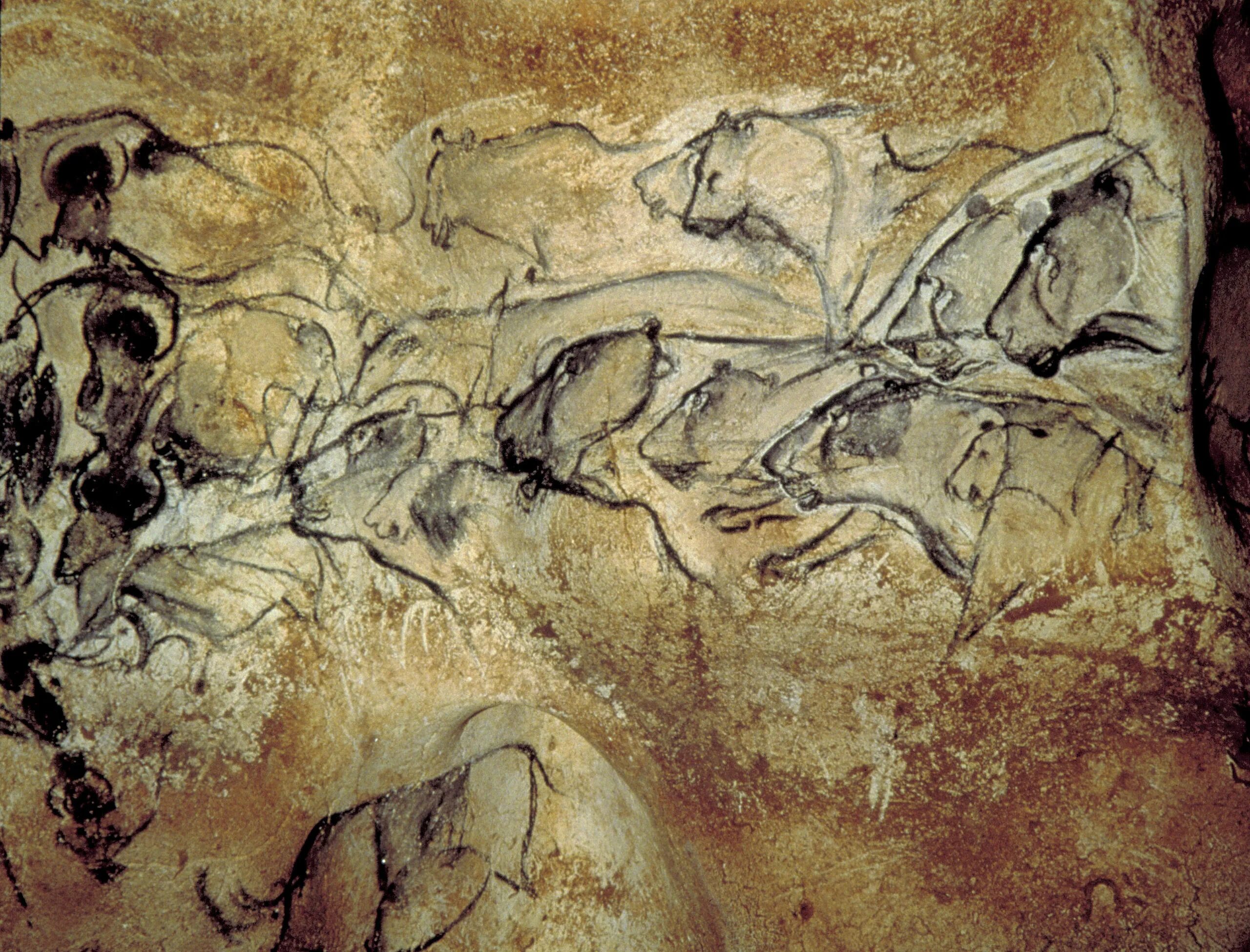 Пещера ля-Ферраси, Франция. Пещера Шове-Пон д'АРК. Пещера Шове Наскальная живопись. Пещера Альтамира.