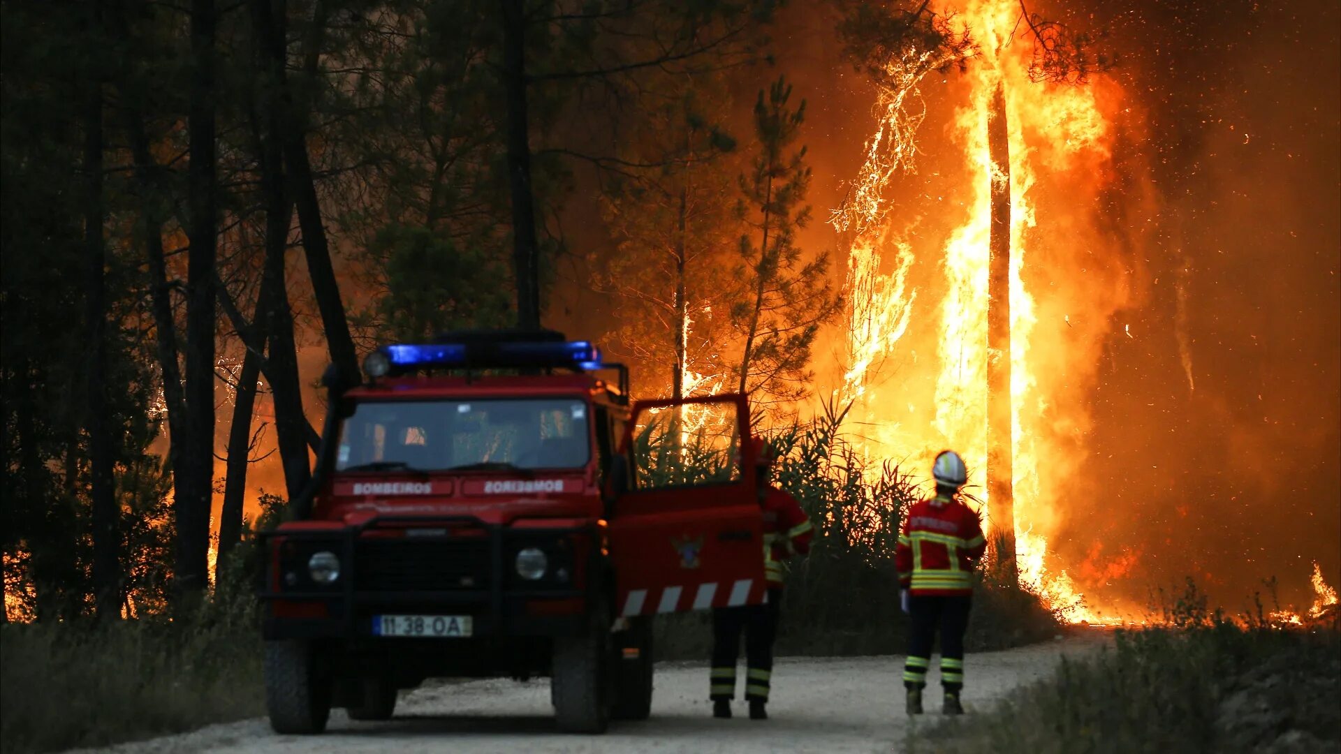 Лесные пожары. Горящий лес. Пожары наводнения. Пожар в лесу картинки. Жара сгорела
