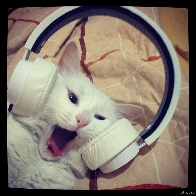 Logitech g633. Наушники beyerdynamic dt 990 pro 250. Девушка в наушниках. Наушники windows. Beyerdynamic dt 990 pro 250.