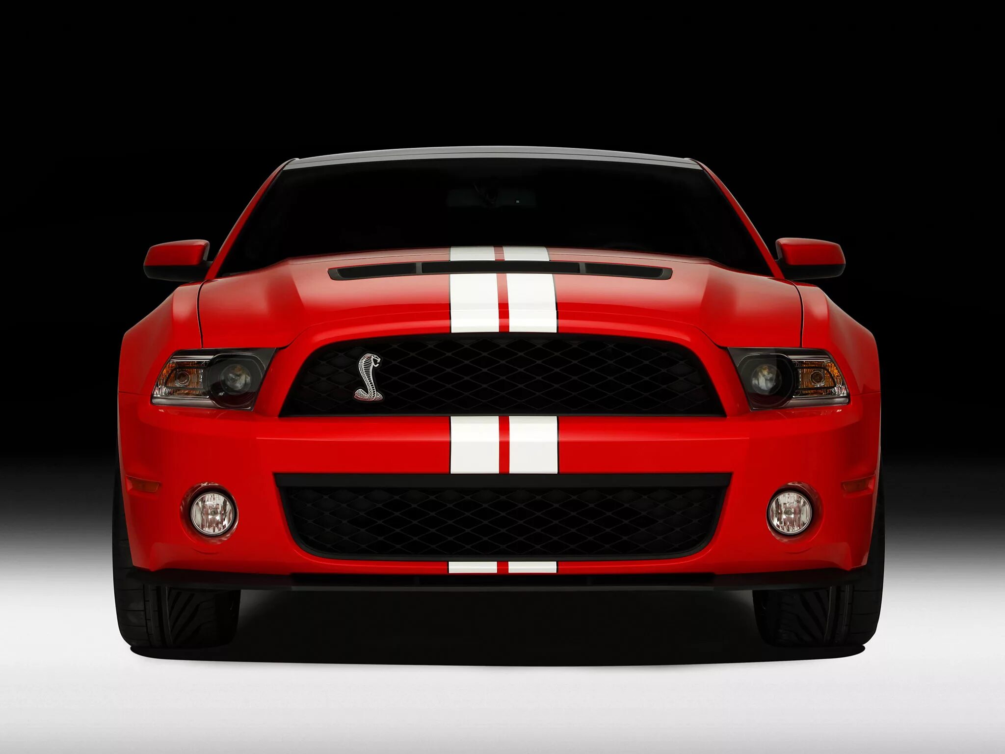 Com cars ru. Ford Mustang Shelby gt500 2011. Форд Мустанг Шелби gt 500. Shelby Mustang gt500 SVT. Форд Мустанг gt 2010.