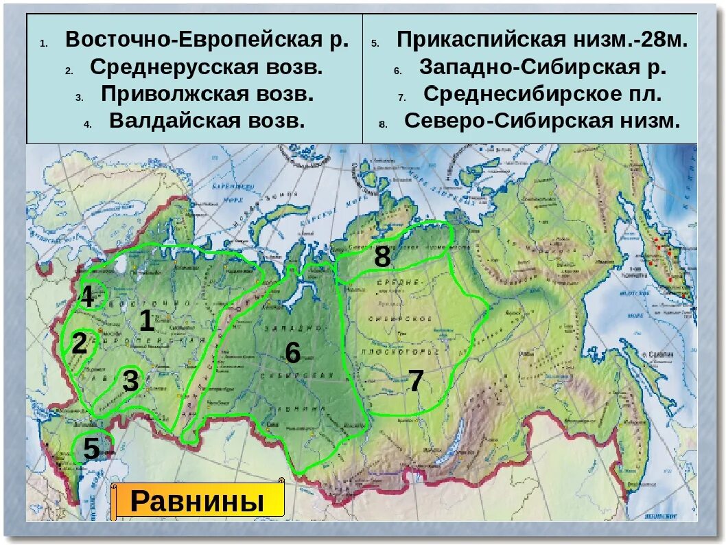 Северо Сибирская низменность на контурной карте. Равнины Плоскогорья низменности на карте России. Прикаспийская низменность низменность на карте России. Карта России с равнинами и плоскогорьями и возвышенностями.