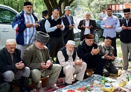 Сайт вайнах