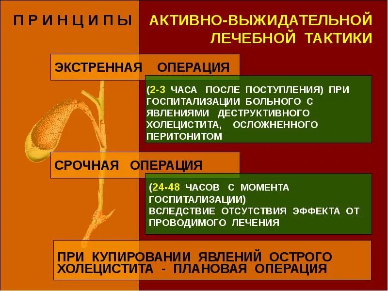 Боль в правом подреберье лечение холецистита. Симптоматика острого деструктивного холецистита. Холецистит презентация. Клиника острого деструктивного холецистита. Презентация на тему острый холецистит.