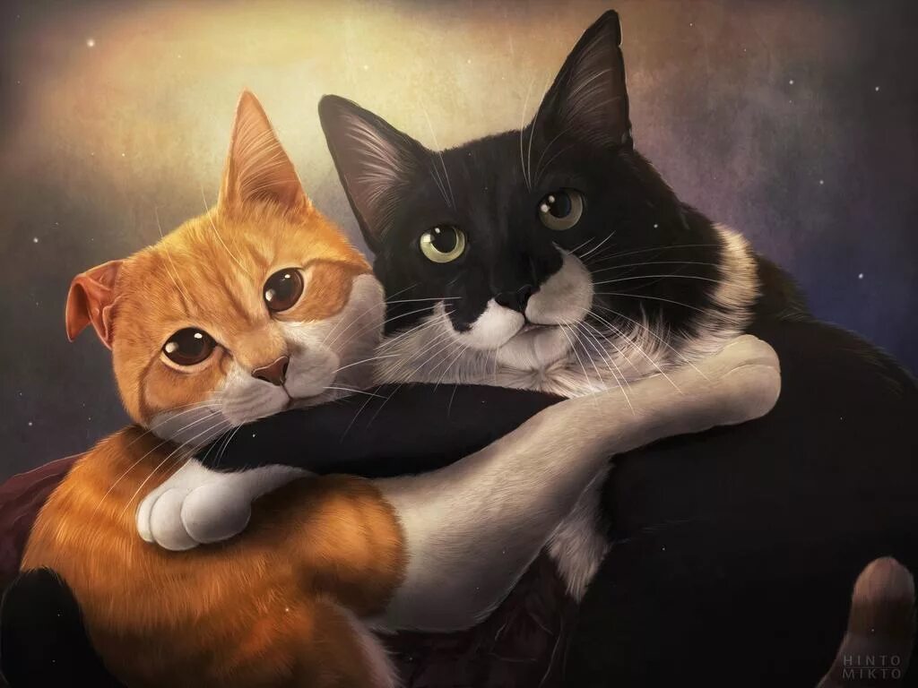 2 нарисованных котиков