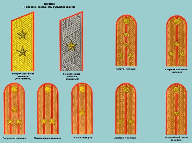 Погоны и звания МВД. Расположение звезд на погонах МВД звания. Генерал лейтенант МВД погоны. Как расположены погоны