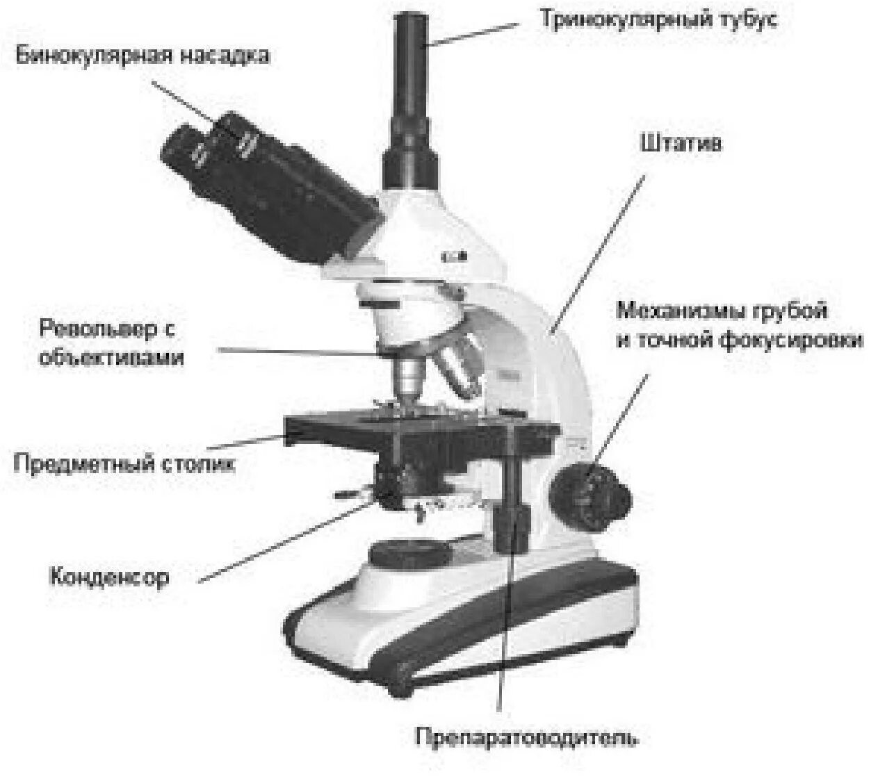 Для чего нужен винт в микроскопе. Строение микроскопа конденсор. Строение микроскопа револьвер. Строение микроскопа цифрового микроскопа. Бинокулярный микроскоп строение.