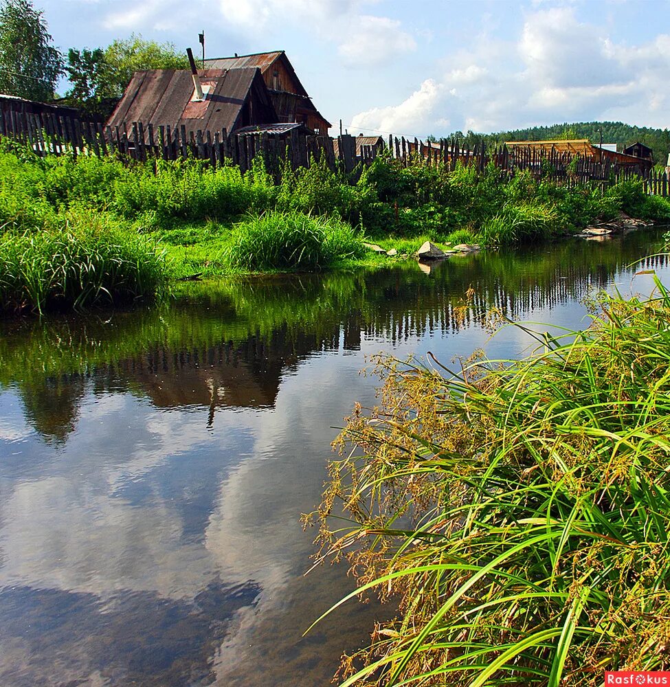 Древние русские реки. Река Вышний Пенская деревушка. Деревня у реки. Речка в деревне. Лето в деревне на речке.