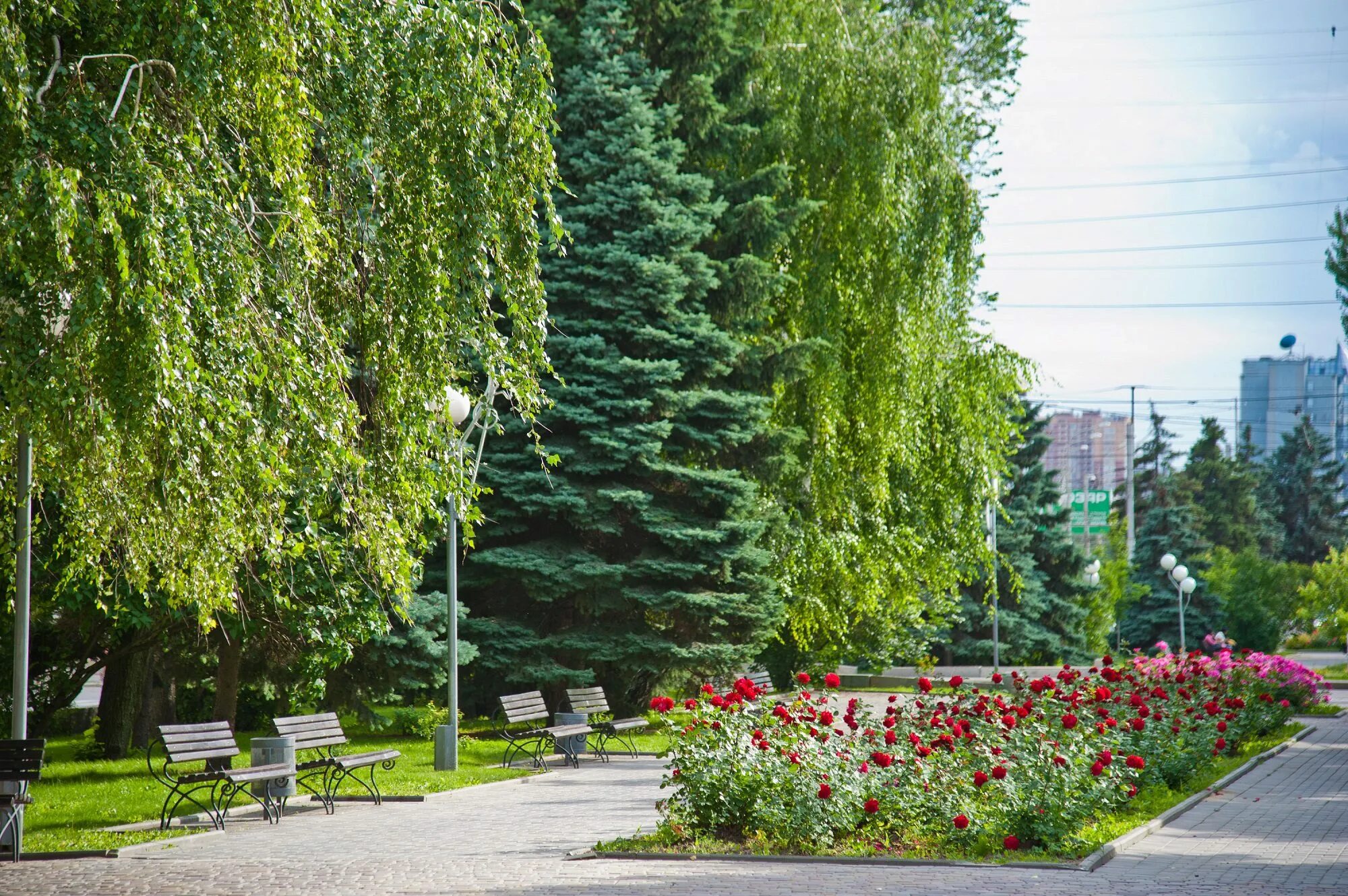 В Волгоградской области ожидается сильный ветер с порывами до 20 метров в секунд