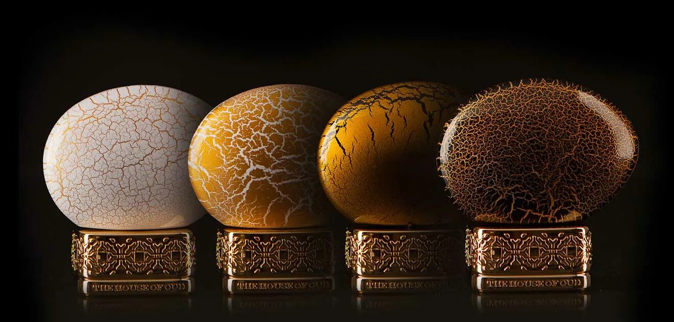 The house of oud what about pop. The House of oud логотип. Хаус оф Тина. Хаус оф уд Голден повер. Хаус оф Ашес Салим.