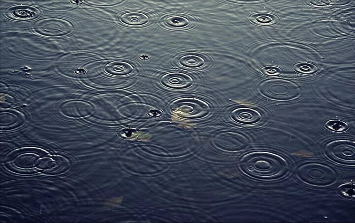 Круги на воде чья. Круги на воде. Круги на воде от дождя. Круги на воде фото. Круги на воде тоска.