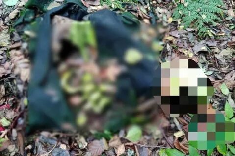 Случайно наткнулся на этот