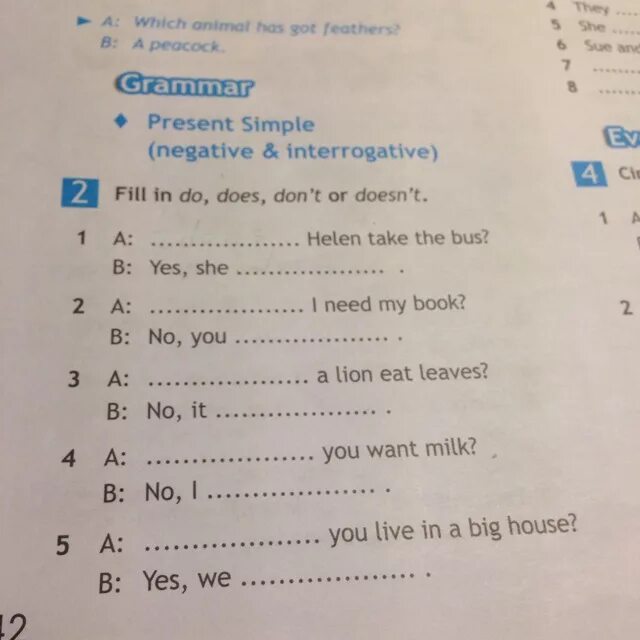 Fill in do does don't doesn't 5 класс. Fill in do does don't or doesn't. Complete with do does don't or doesn't 5 класс. Fill in do does don't or doesn't 6 класс.