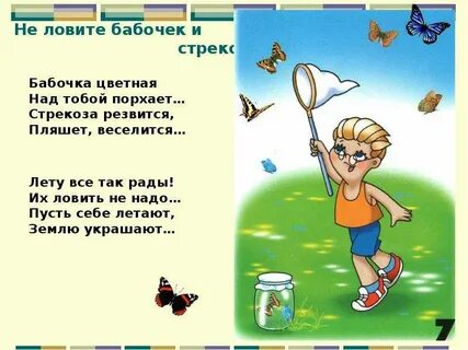Чем ловят бабочек