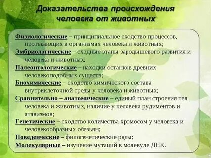 Что свидетельствует о ее