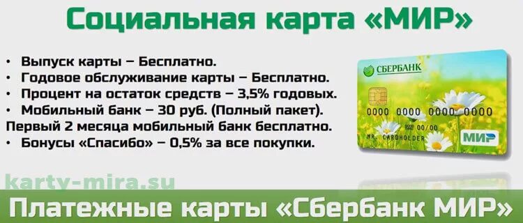 Закончился срок пенсионной карты. Карта мир Сбербанк. Мир социальная карта Сбербанка. Карта Сбербанка мир для пенсионеров. Пенсионная карта мир Сбербанка.