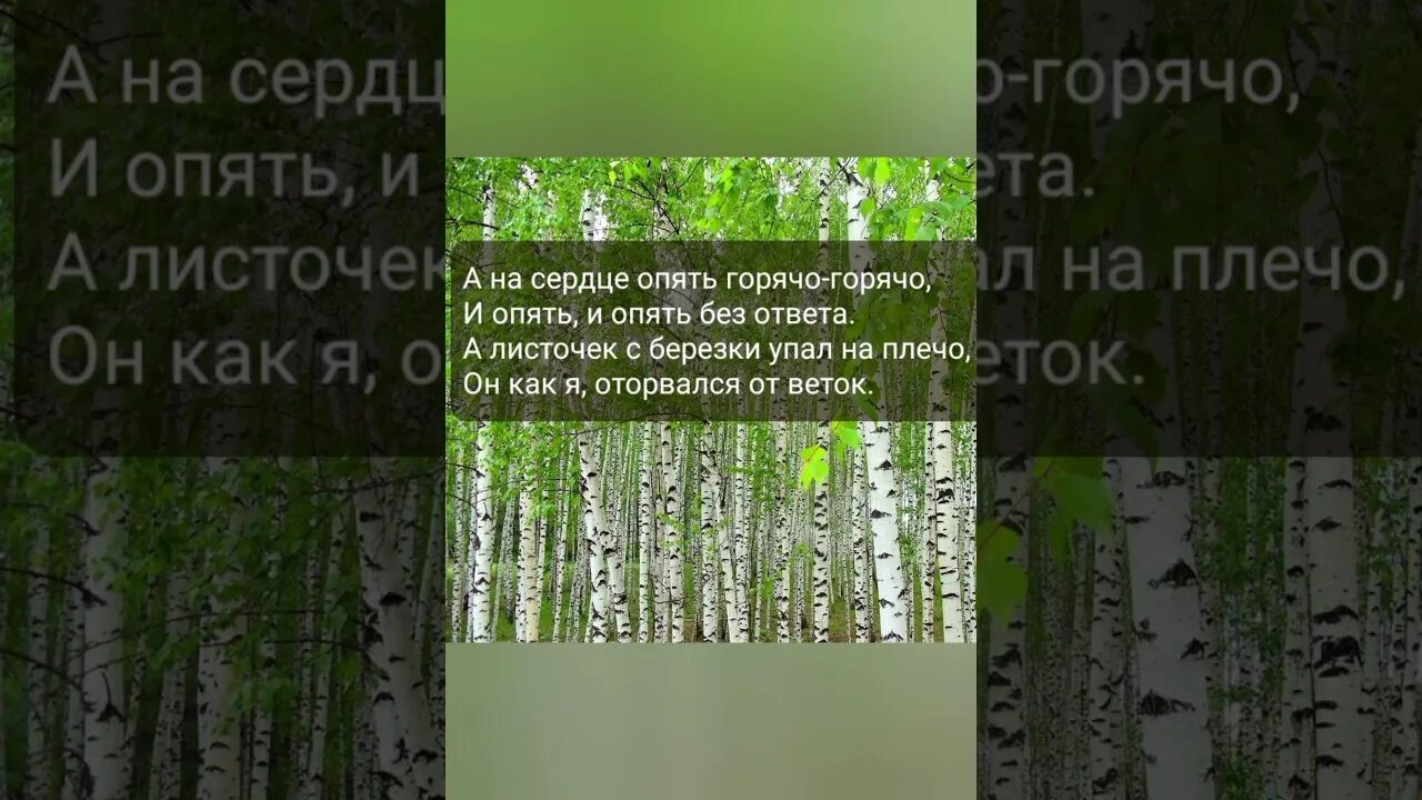 Почему в россии березы шумят песня. Отчего так в России березы шумят. Березы Любэ Безруков слова. Почему в России березы шумят. Безруков березы текст.