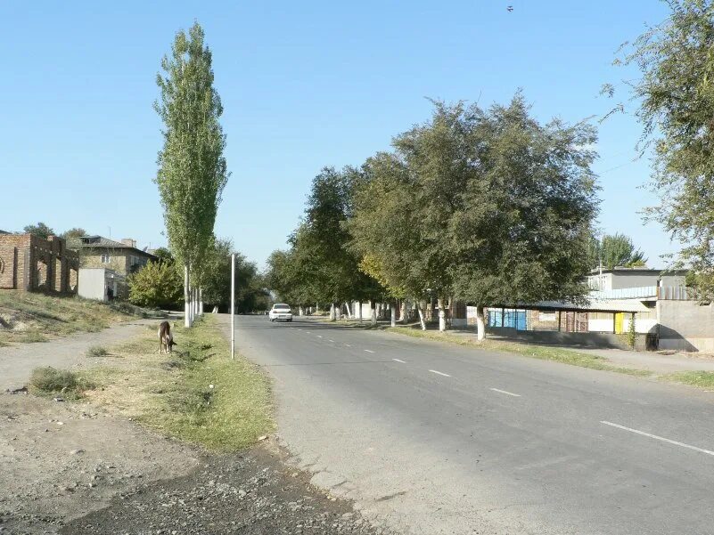 кызыл кия школа 7. кызыл кия город. кызыл кия 61 разъезд. кызыл кия 61 разъезд. баткенская область кызыл кыя.