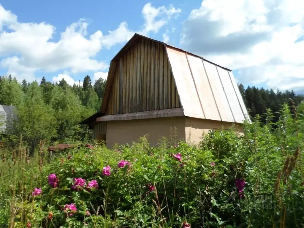 Купить дачу в родничке. Бершеть Пермский край. СНТ Заречная с Бершеть. Бершеть Звездный Пермский край. Дача Лесной 5 Пермь.