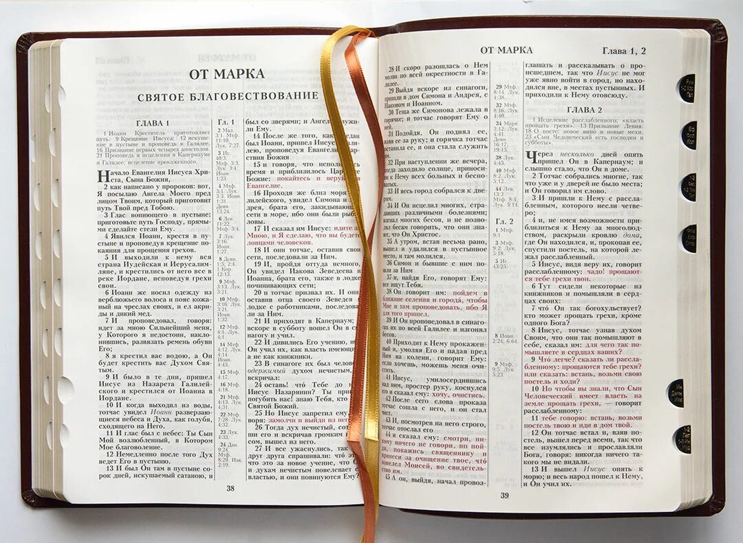 Канонический текст библии. Библии с выделенным текстом. Библия с красным шрифтом. Библия (коричневая, рециклированная кожа, молния, золотой обрез). Библия с выделенными словами.