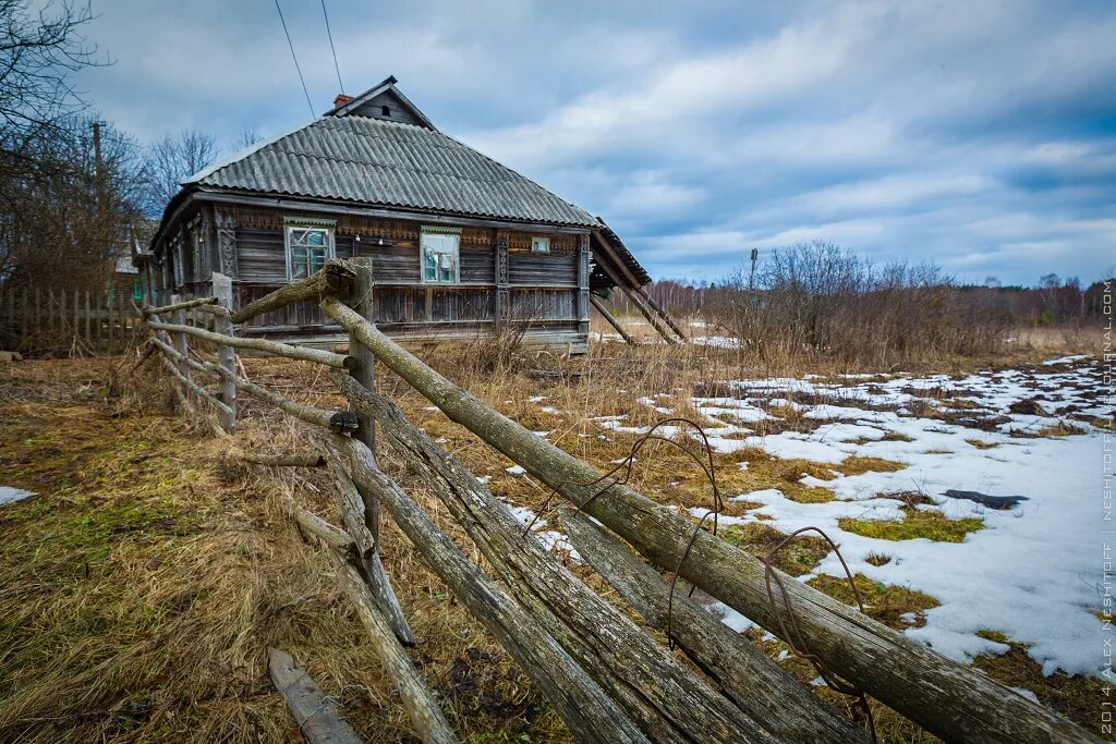 Деревня россия новгородской области. Деревня Татино Новгородская область. Деревня русско Новгородская. Природа деревня Новгородская область. Станция Татино Новгородская область.