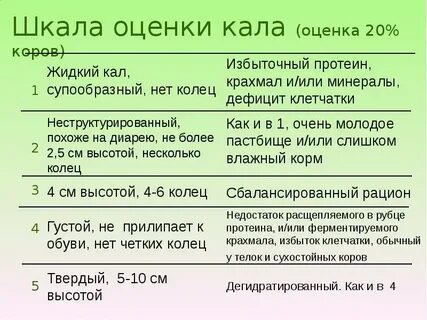 Какой стул должен быть 5 месяцев