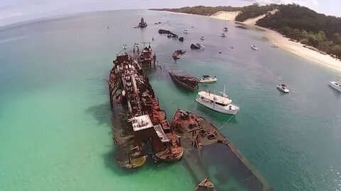 Мортон австралия