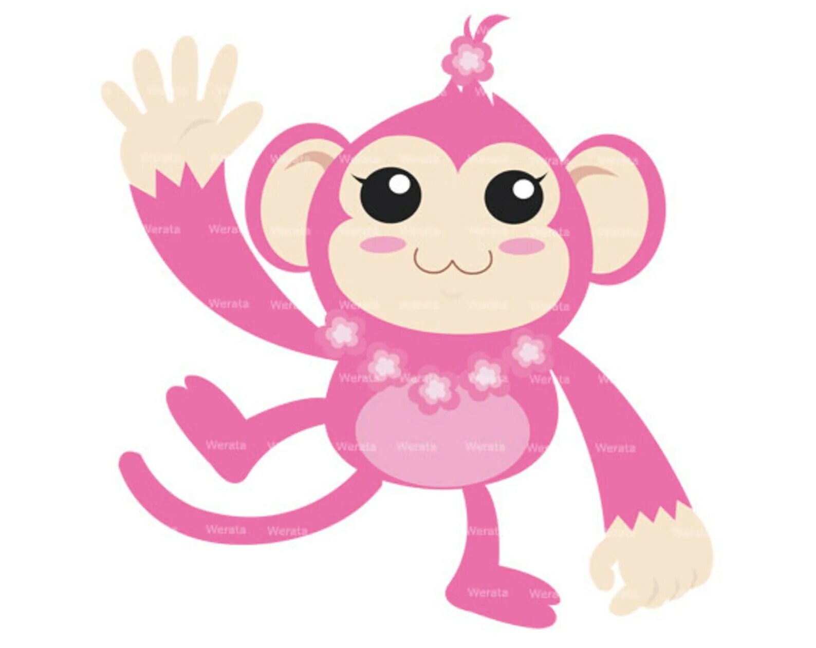 Розовая обезьяна. Розовая обезьянка. Мартышка в розовом. Розовая макака. Розовая обезьяна рисунок.