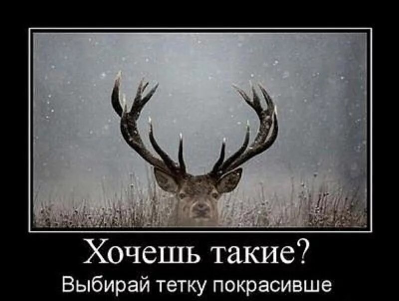 Ништяк значение