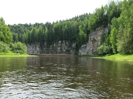 Приток лев
