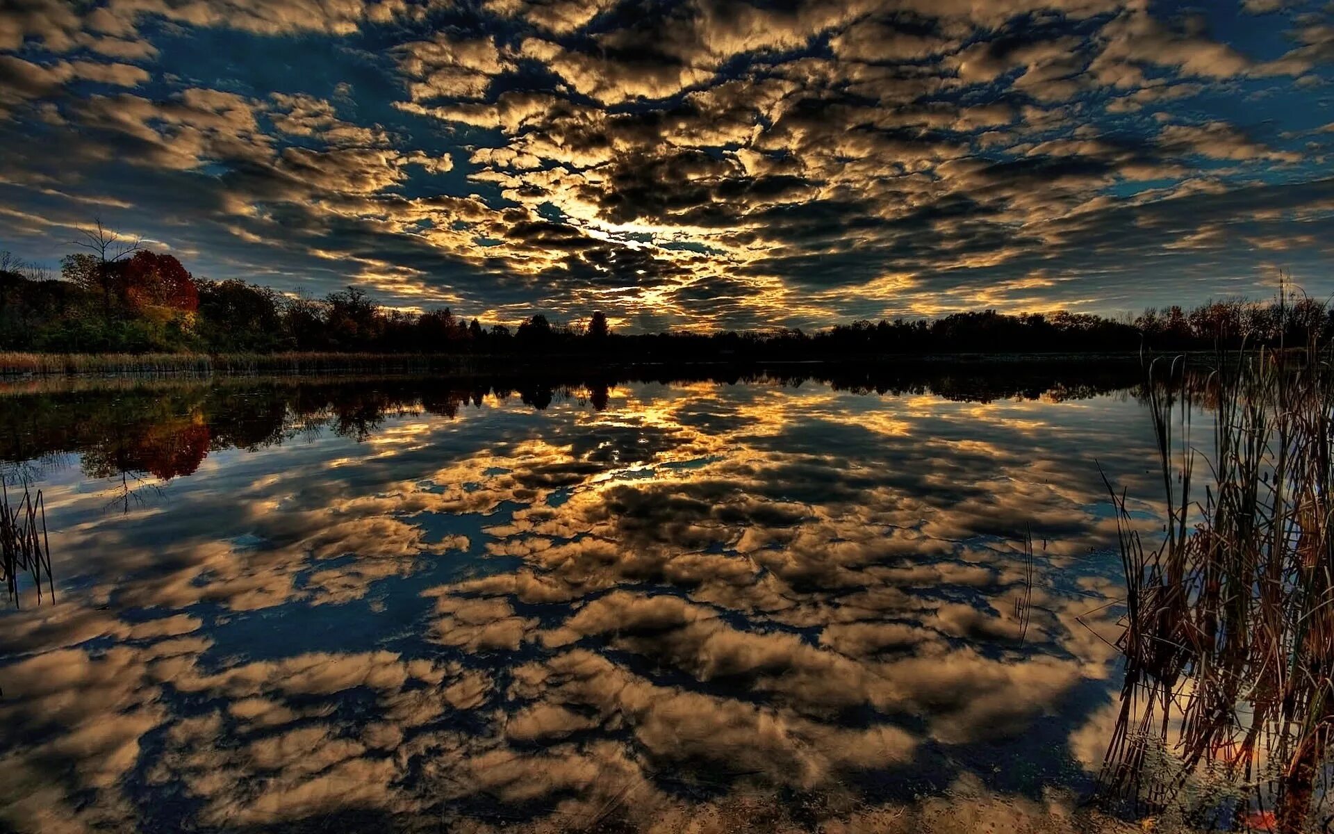 Отражение в воде. Природа. Профессиональные пейзажи. Отражение природы в воде.