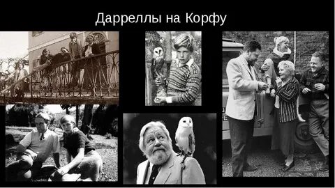Семья джеральда даррелла