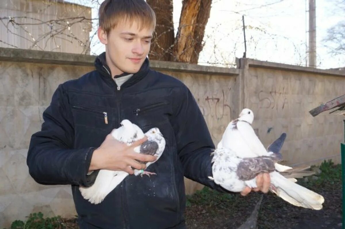 Телефоны голубятников