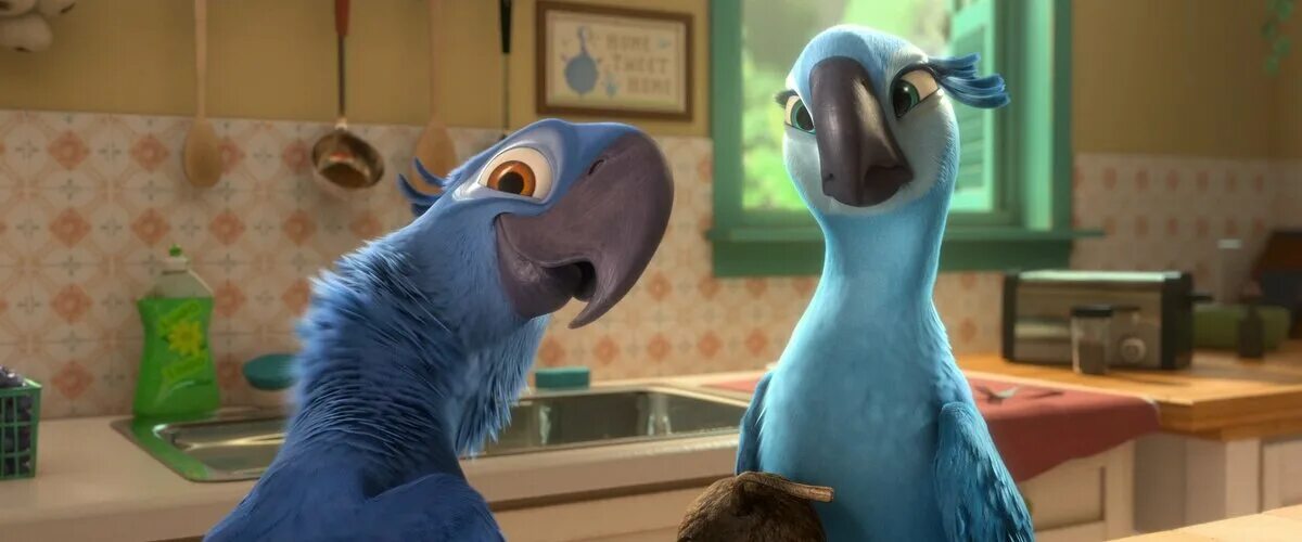 Рио 2. Рио 2 [Rio 2] (2014). Рио 2 Голубчик. Рио 2 Голубчик и Жемчужинка.