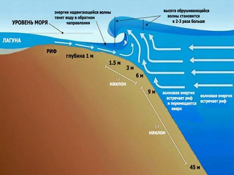 Береговая линия глубина. Схема образования ЦУНАМИ. Схема образования волны. ЦУНАМИ высота волны. Образование волн в море.