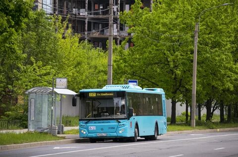 237 автобус маршрут санкт петербург