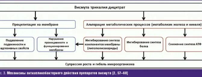 Висмута трикалия дицитрат механизм действия. Висмута трикалия дицитрат фармакология. Висмута дицитрат механизм действия. Антихеликобактерной средства механизм действия. Висмут язва