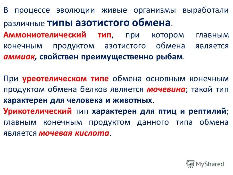 Основной конечный продукт азотистого обмена. Конечные продукты азотистого обмена. Аммониотелический Тип азотистого обмена. Аммониотелический Тип. Урикотелический Тип азотистого обмена.